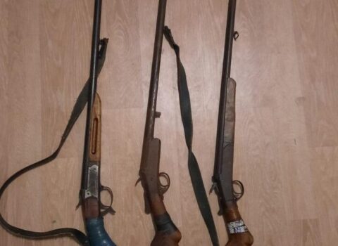 Polis 11 tüfəng və 198 patron aşkarladı