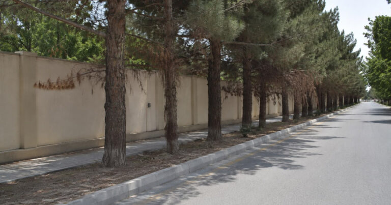 Göyçayda yaşıllığa qarşı “soyqırım”la bağlı araşdırma başladı  – 1 nəfər saxlanıldı