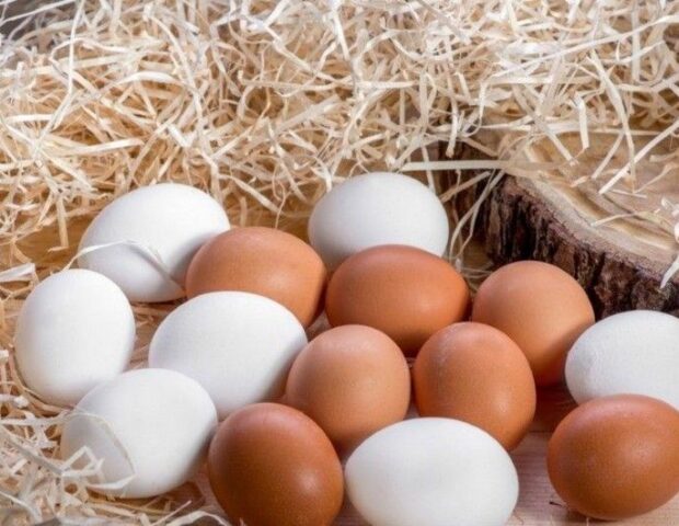 1 qəpiyə satılan yumurta indi 38 qəpik oldu?