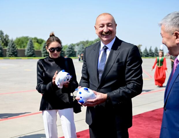 Prezidentə təqdim olunan oyuncaqlar nədir? – Foto