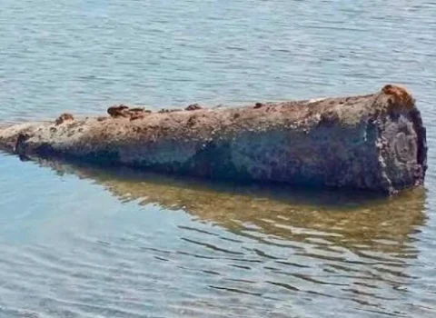 İkinci Dünya müharibəsi bombası Dunayda yoxa çıxdı