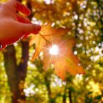 Sentyabrda hava necə olacaq? – AYLIQ PROQNOZ