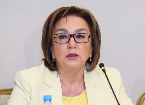 Məleykə Abbaszadə: ixtisas seçimində abituriyentlərə ödənişsiz dəstək göstərilir