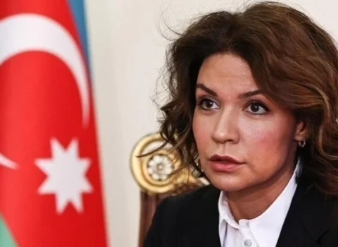Prezident Nərminə Mustafayevanı səfir təyin etdi