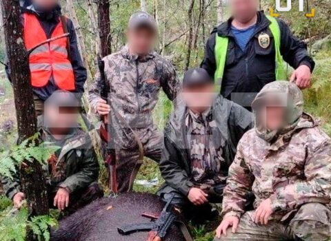 Əməliyyat keçirildi: Milyonluq biznes üzə çıxdı