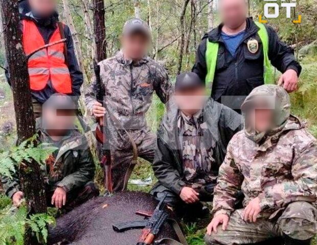 Əməliyyat keçirildi: Milyonluq biznes üzə çıxdı