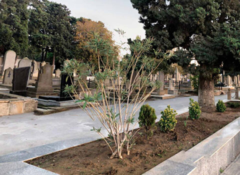 Meyiti qəbiristanlığın yaxınlığında tapıldı