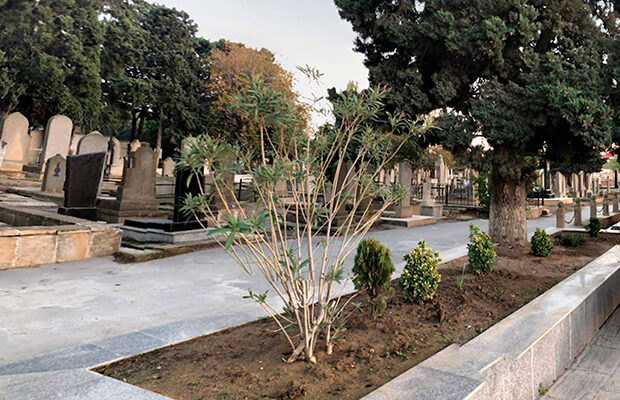 Meyiti qəbiristanlığın yaxınlığında tapıldı