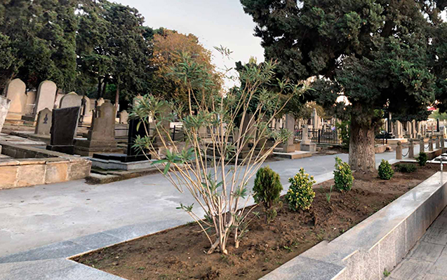 Meyiti qəbiristanlığın yaxınlığında tapıldı Meyiti qəbiristanlığın yaxınlığında tapıldı