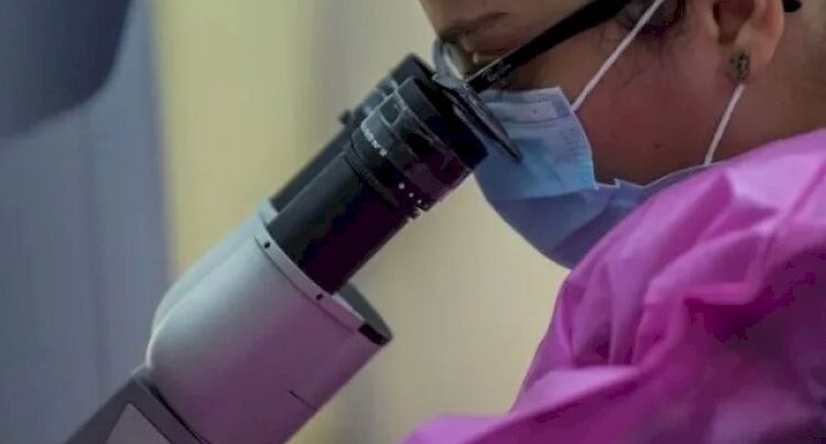 Süni intllektlə 16 yeni virus yaratdılar Süni intllektlə 16 yeni virus yaratdılar