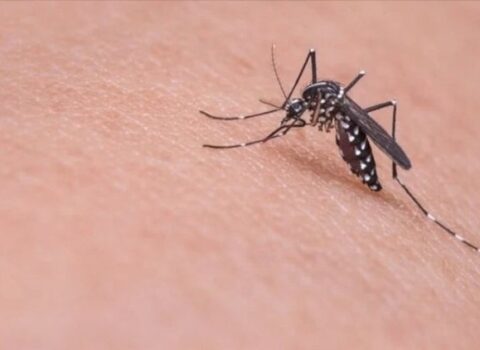 Təhlükəli virus yayılır – Həkimlər təcili tədbir istəyir – Bu ölkədə