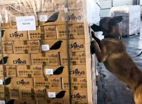 İrandan Azərbaycana 110 kq-dan çox narkotik vasitə keçirilməsinin qarşısı alındı