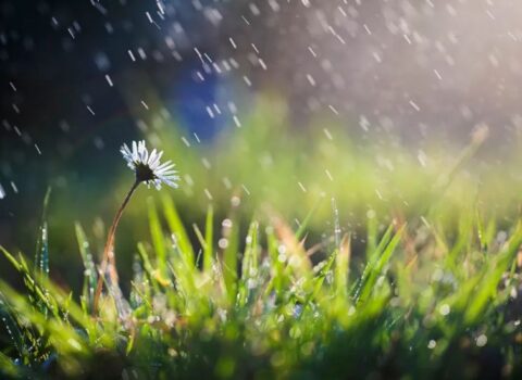 Hava şəraiti ilə bağlı xəbərdarlıq: Avqustun 29-dək…