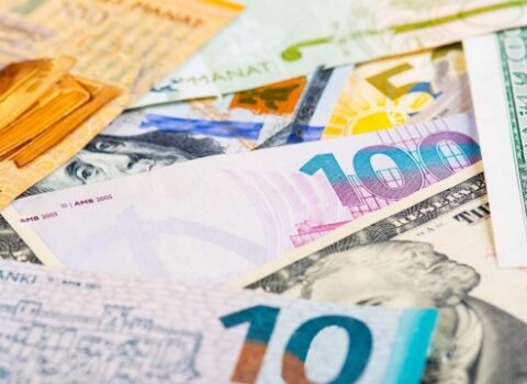 100 hektar torpaq, 500 qoyun şərti: subsidiya kimlər üçün nəzərdə tutulub?