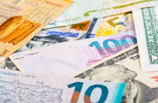100 hektar torpaq, 500 qoyun şərti: subsidiya kimlər üçün nəzərdə tutulub?