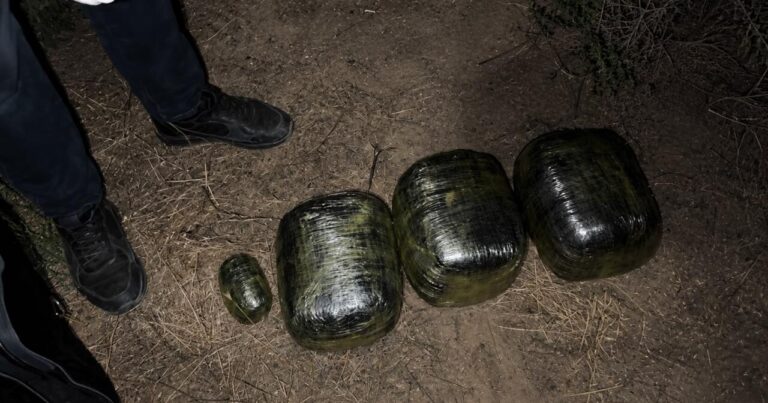 34 kiloqrama yaxın narkotik vasitə aşkarlandı 34 kiloqrama yaxın narkotik vasitə aşkarlandı