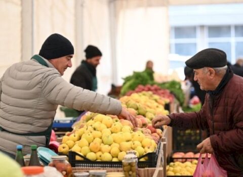 Rusiya nümunəsi: Azərbaycanda tətbiqi mümkündür?