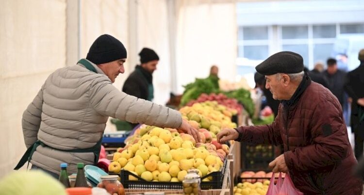 Rusiya nümunəsi: Azərbaycanda tətbiqi mümkündür?