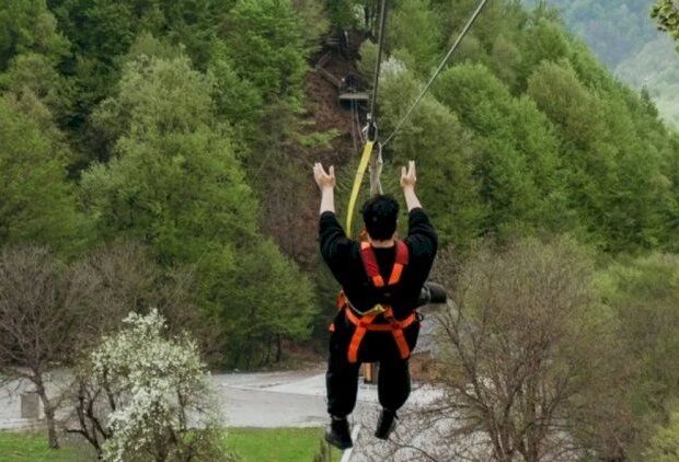 “Bu hadisə milyonda bir belə olmur” — “Şəki yaylası”nın direktoru