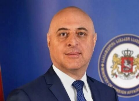 Gürcüstan Azərbaycana yeni səfir təyin etdi