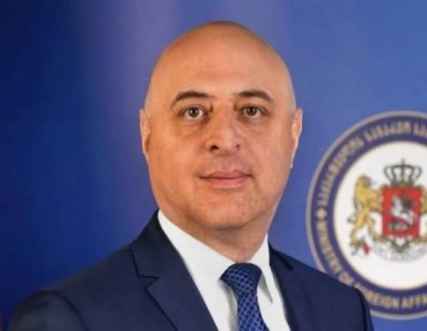Gürcüstan Azərbaycana yeni səfir təyin etdi