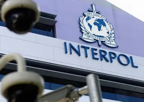 İnterpol Ermənistanda əməliyyat keçirdi – Qarabağ müharibəsi ilə bağlı silahlar götürüldü