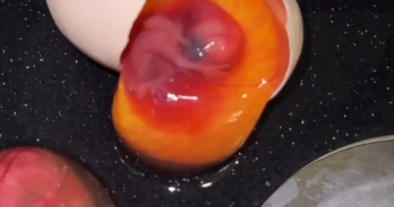 Mağazadan alınan yumurtadan gözlənilməz “sürpriz” – Video
