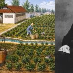 Bir botanikin gizli missiyası: Çay Çindən Hindistana necə köçürüldü