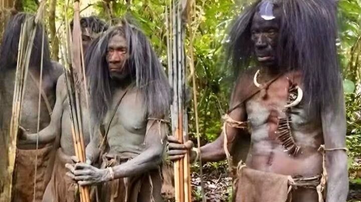 Papua cəngəlliklərinin sirli sakinləri: Timsah ovlayan Bauzi xalqı
