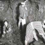 Yaponiyanın sənayeləşmə dərsi: Kömür var, bəs keyfiyyəti necə?