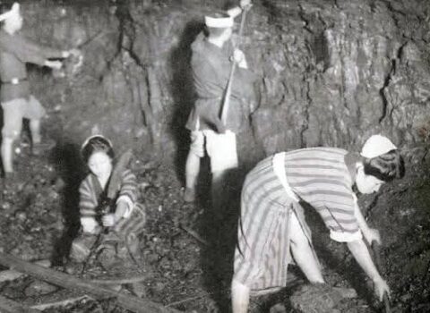 Yaponiyanın sənayeləşmə dərsi: Kömür var, bəs keyfiyyəti necə?