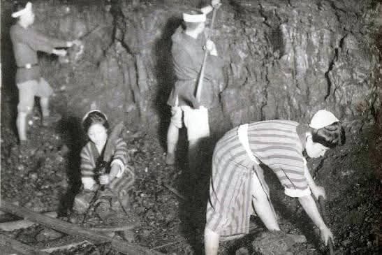 Yaponiyanın sənayeləşmə dərsi: Kömür var, bəs keyfiyyəti necə?