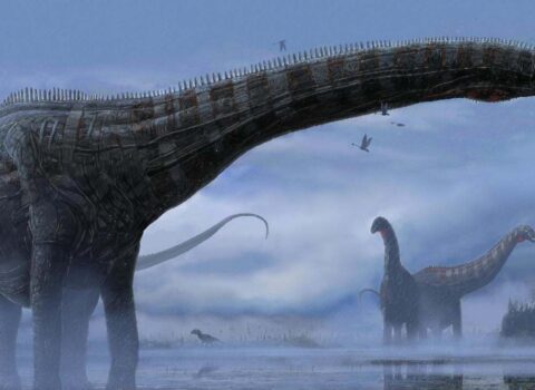 Dinozavrlar əslində yoxa çıxmayıb – Onlar hələ də aramızda yaşayır