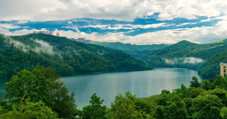 “Göygöl”ün ərazisi hasarlanacaq