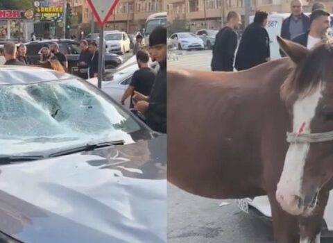 Bakıda minik avtomobili atla toqquşdu