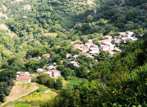 Erməniləri təşvişə salan görüntü: Azərbaycanla sərhəddə nə baş verir?